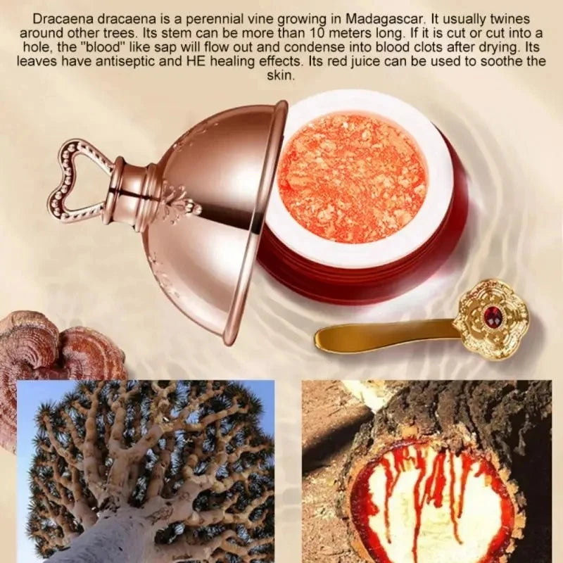 Dragon's Blood Face Cream | Retinol Placenta Essence | Brightening Lift Firming |Korean Skincare